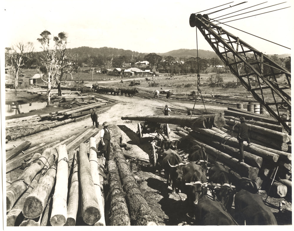 Timber Mill, Woolgoolga, 1929