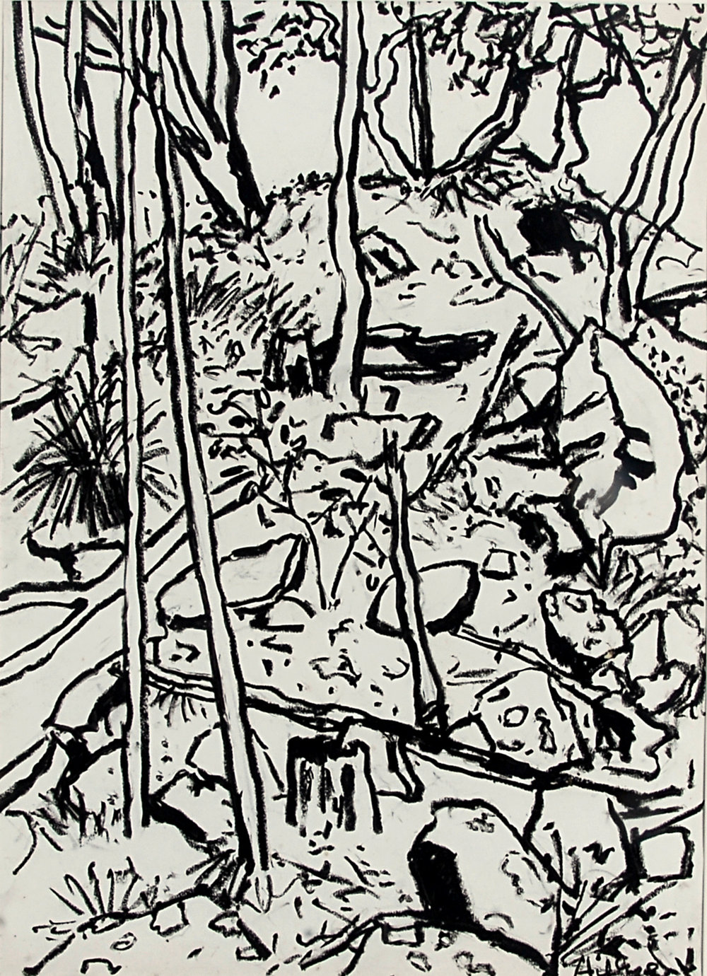 Glenreagh Sandstone Bush 1