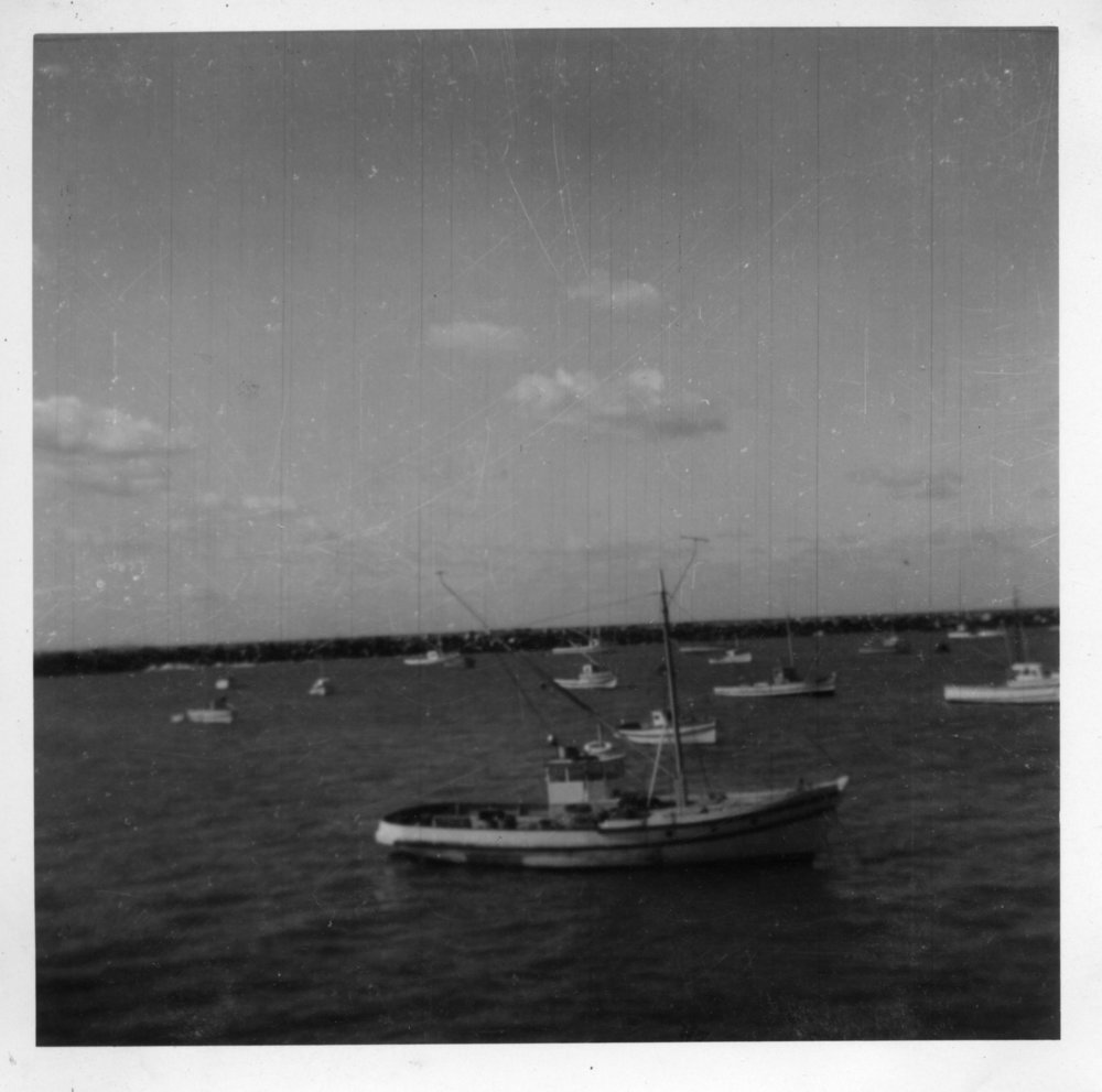 Boats moored at Jetty Beach, c.1960