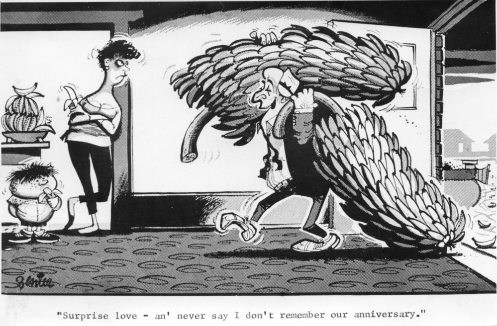 The banana glut, 17 November 1967