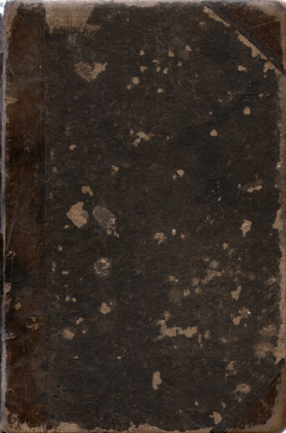 The Polar and Tropical Worlds, 1881