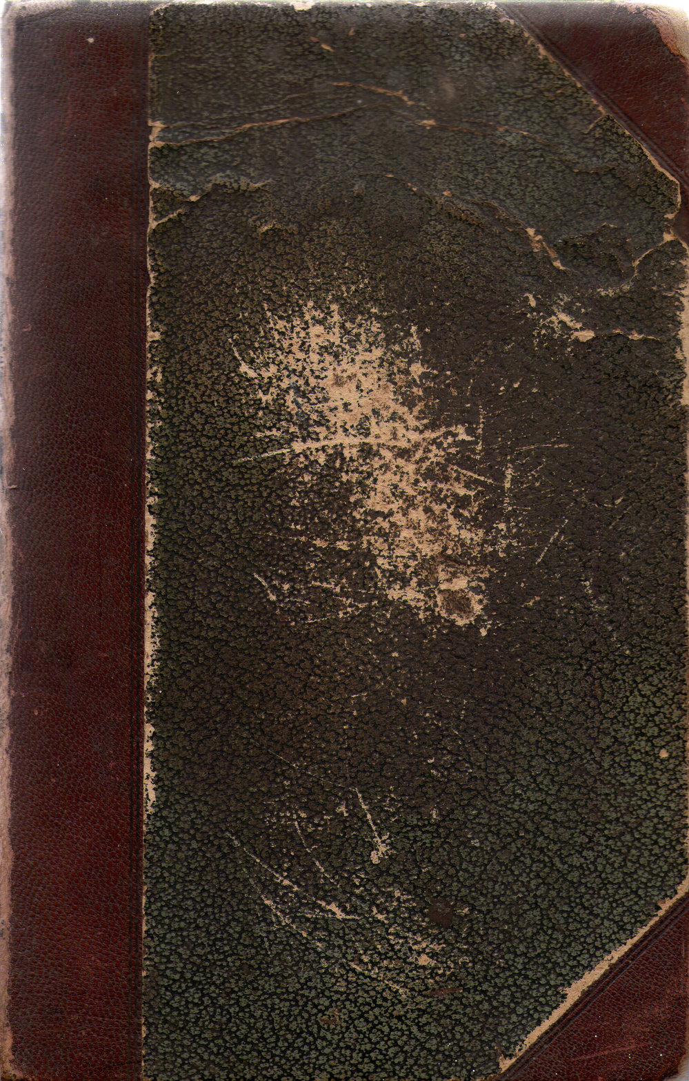 Biblia Sacra, 1887