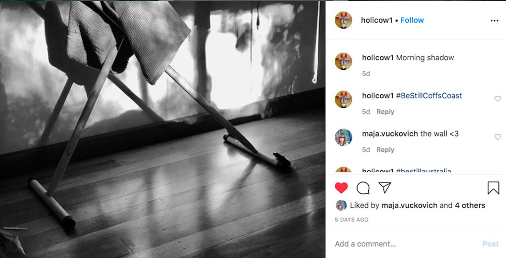 Instagram post from @holicow1