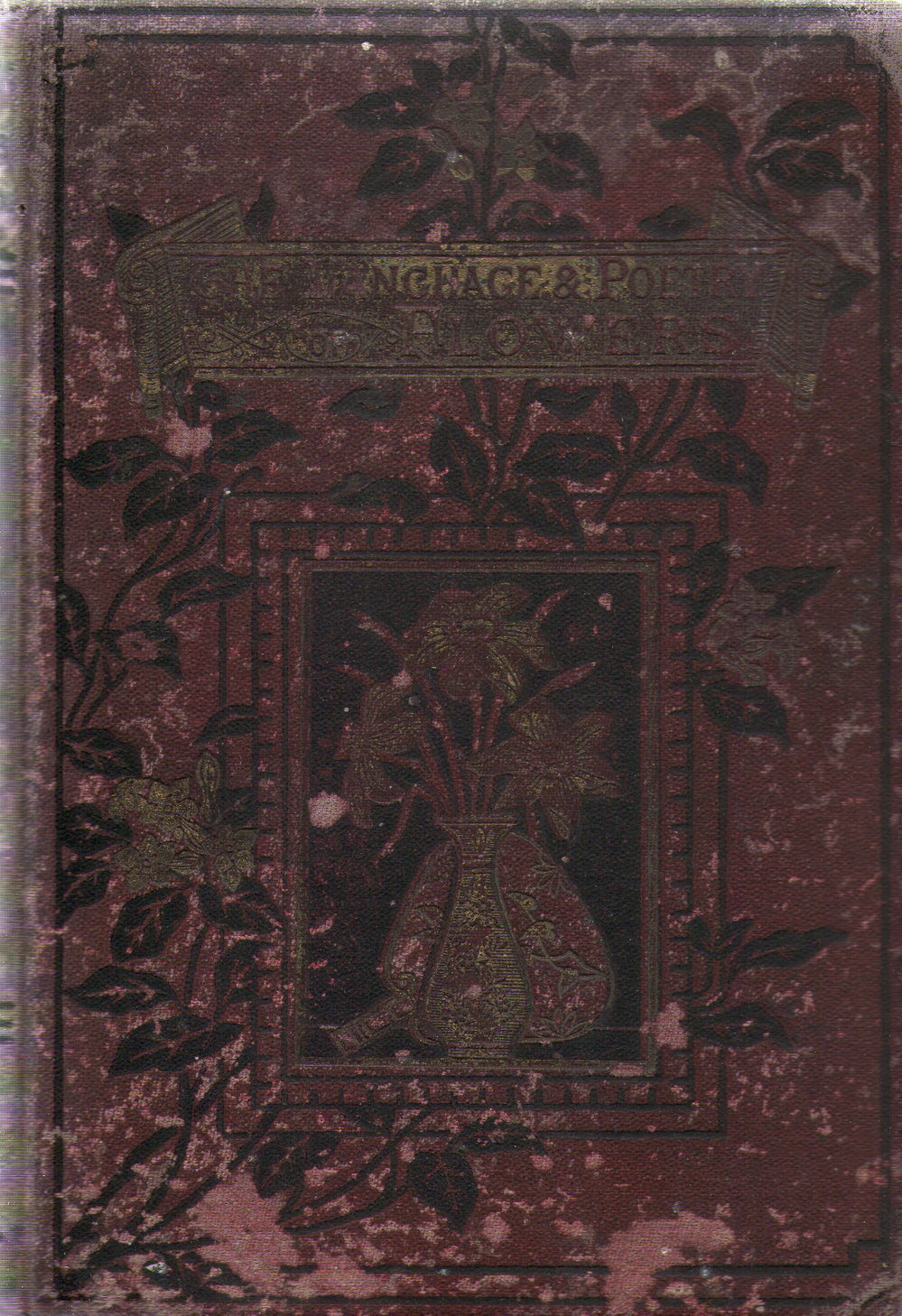 The Language and Poetry of Flowers, 1881