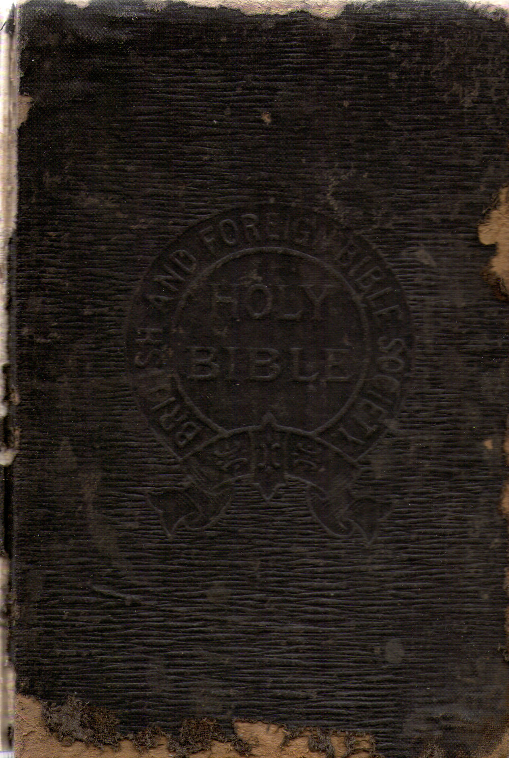 Holy Bible, 1900