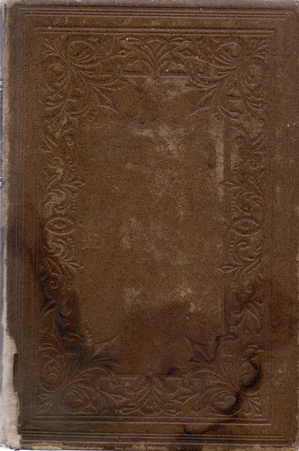 The Home Hand-Book of Domestic Hygiene and Rational Medicine, 1899