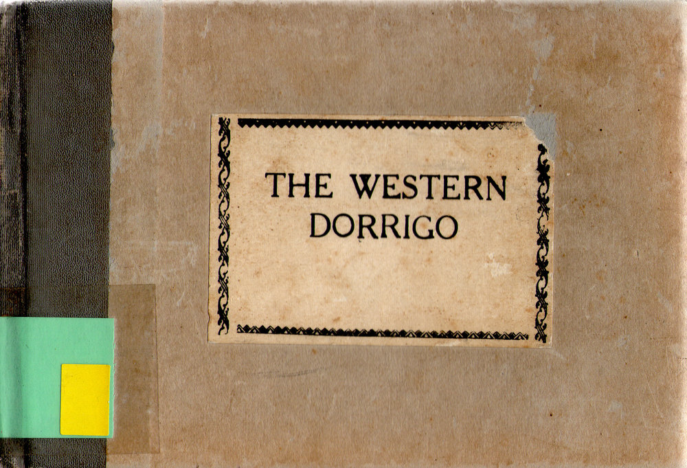 The Western Dorrigo, 1917