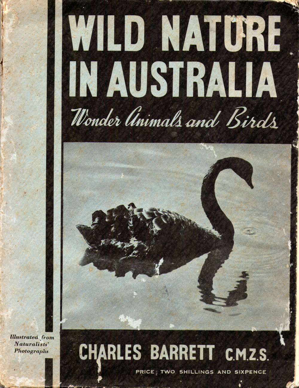 Wild Nature in Australia, 1938