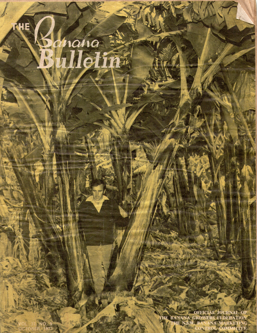 The Banana Bulletin, Vol. 37, No. 10, October 1973