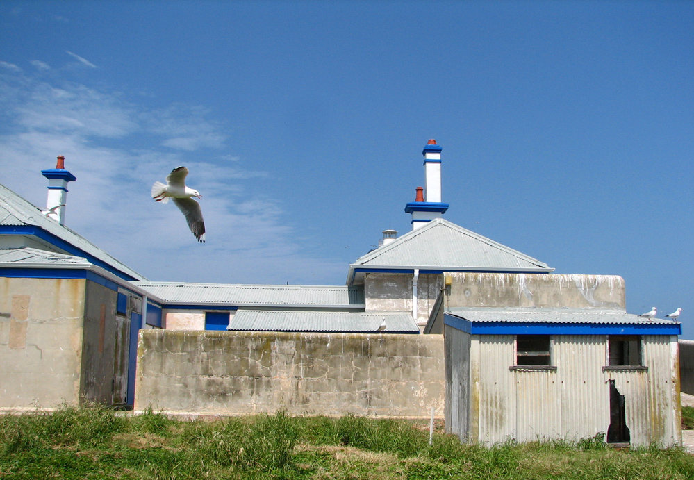 Exterior lightkeepers' cottages, South Solitary Island, 2007