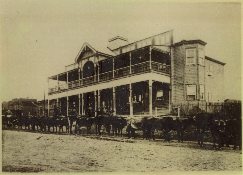 Bullock teams beside the Sea View Hotel on River Street, early 1910s
