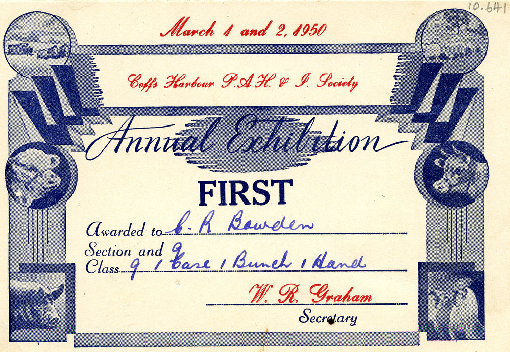 First prize for bananas, Annual Exhibition, Coffs Harbour, 1950