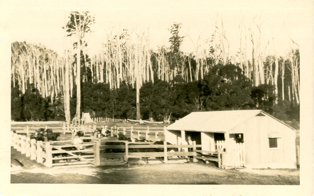 Friday Creek farm shed and animal holding pens