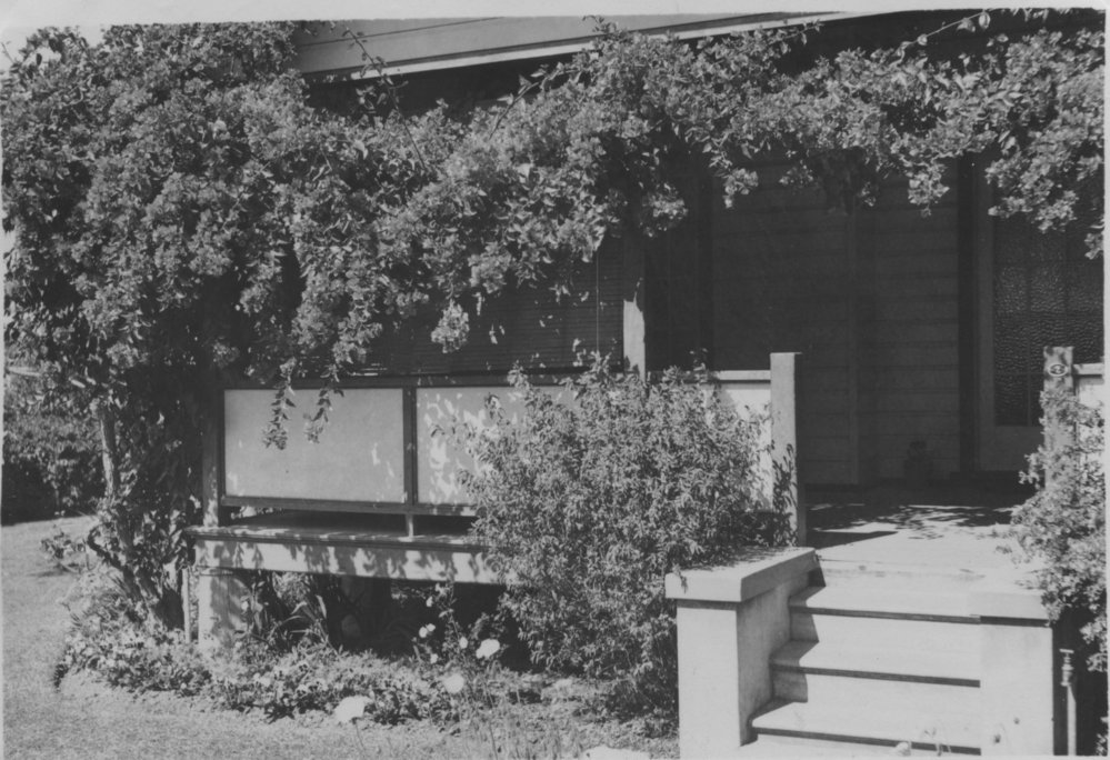 Verandah and vine at Mrs Hamilton's home on Coramba Road, 1957