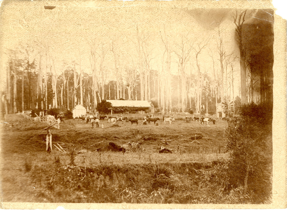 The Hardacre farm and ornithopter, c.1905