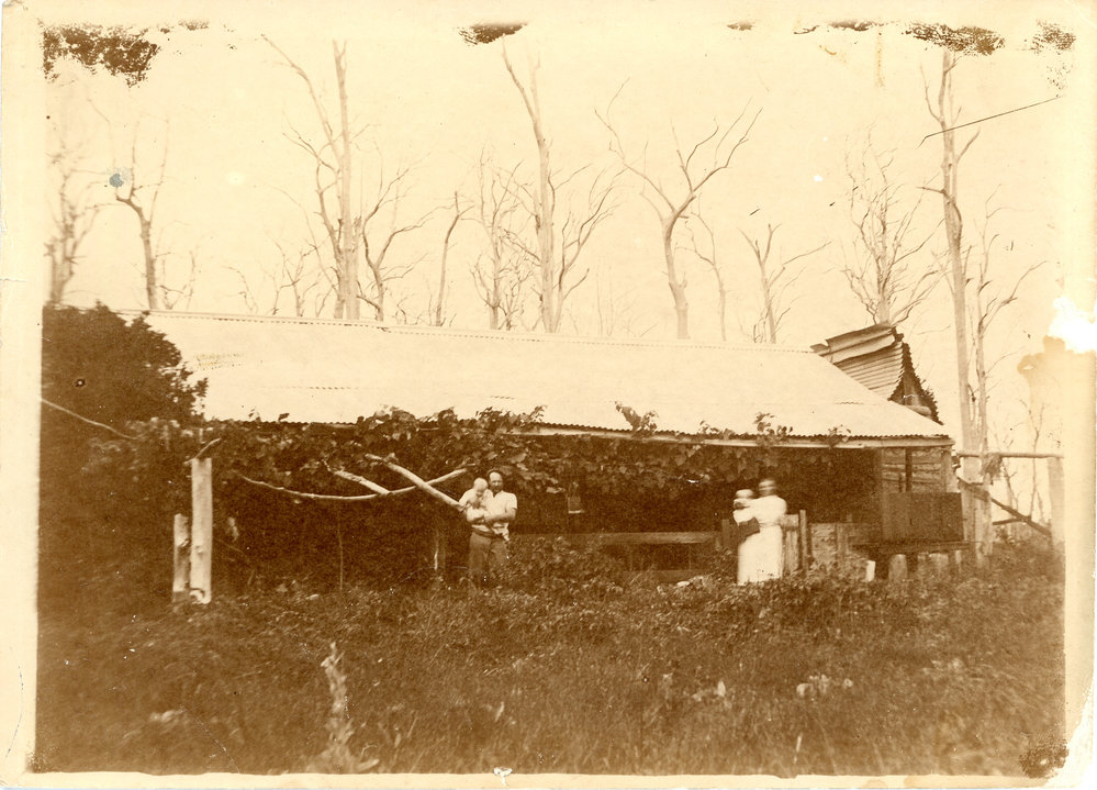The family at the Hardacre farm, 1904