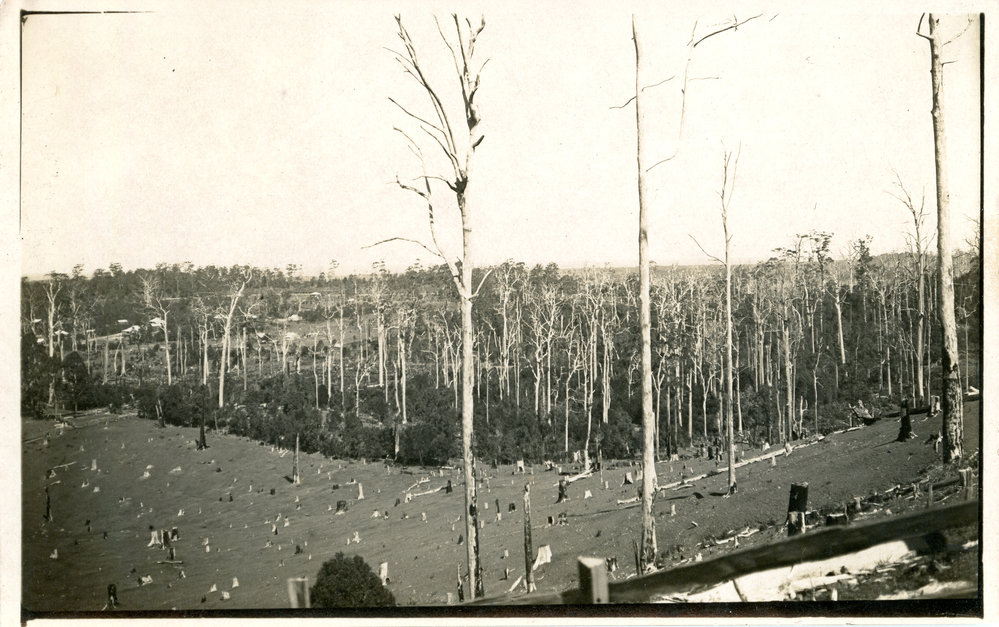 Panorama from Goslings Hill