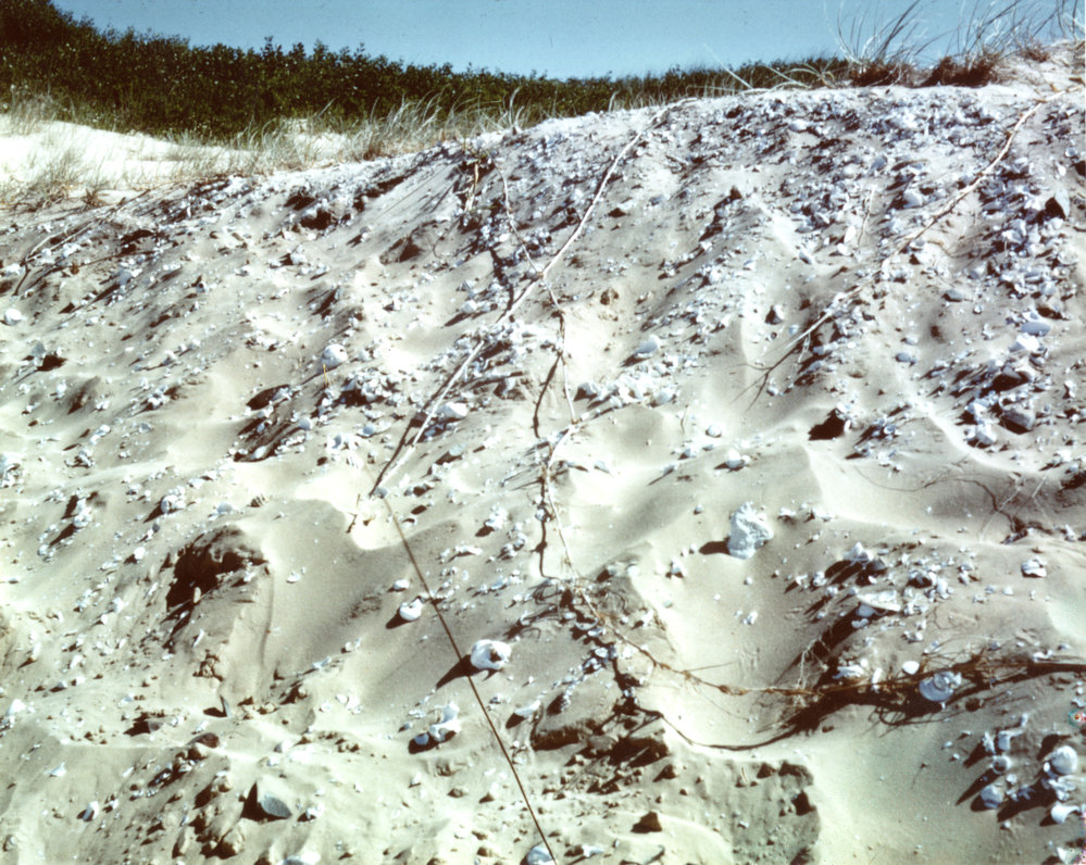 Midden