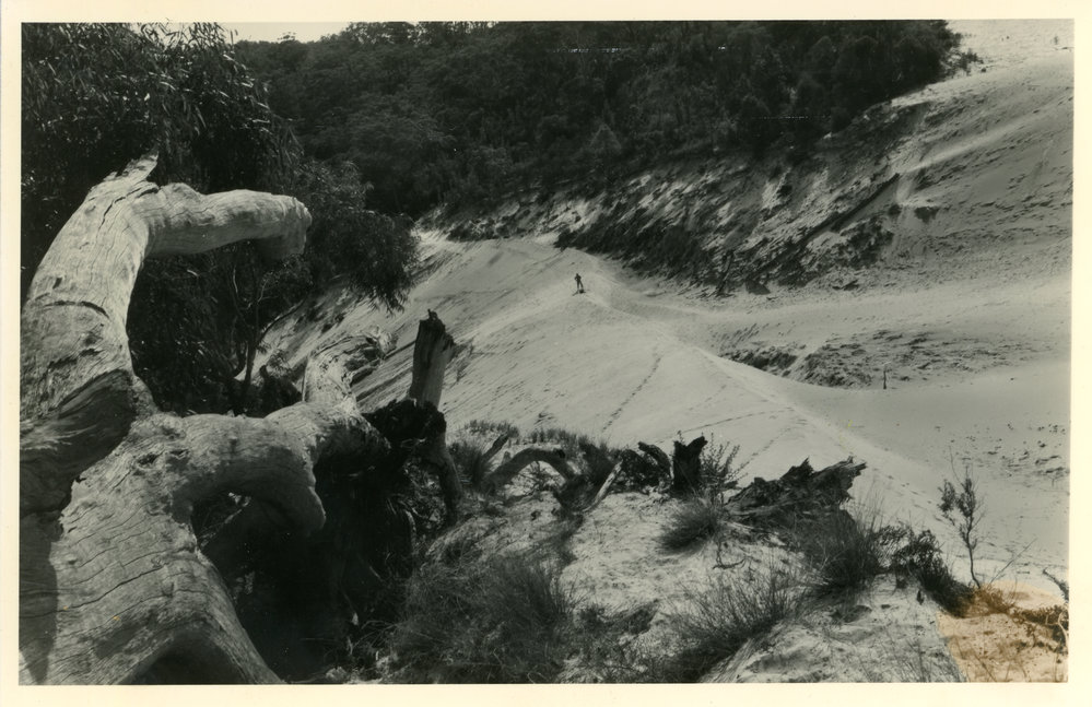 Sand dune
