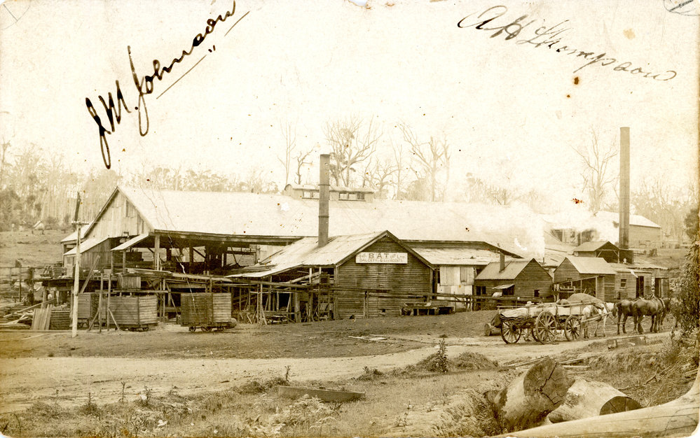 British Australian Timber Limited mill, 1911
