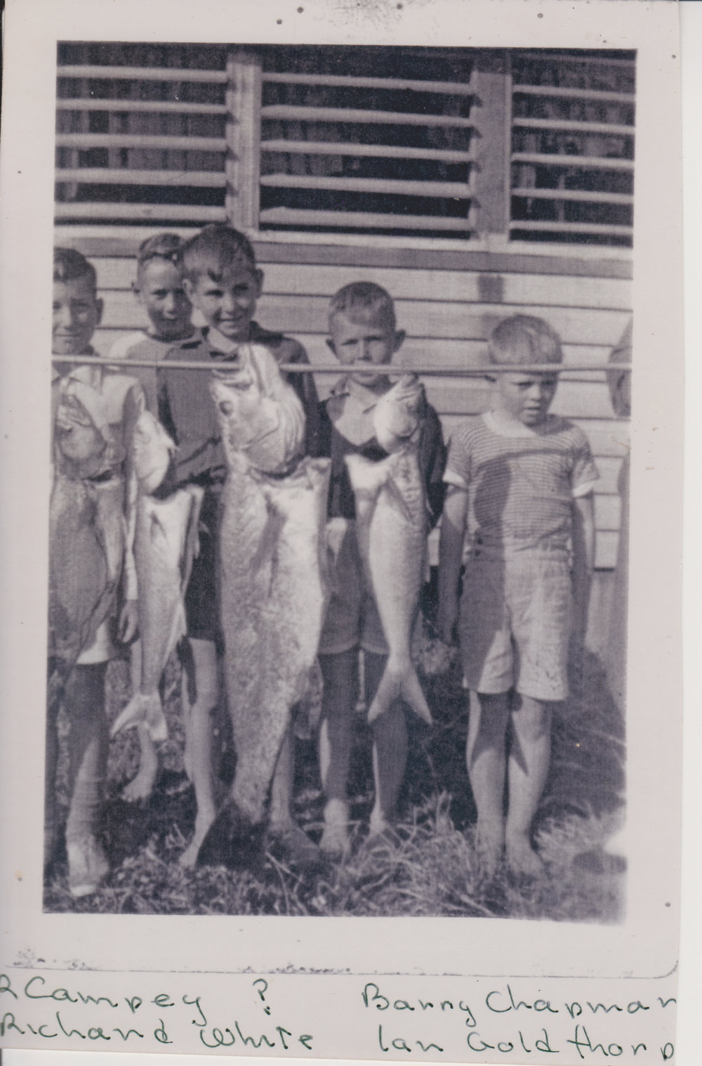  Local Boys With Fish Red Rock 1950s