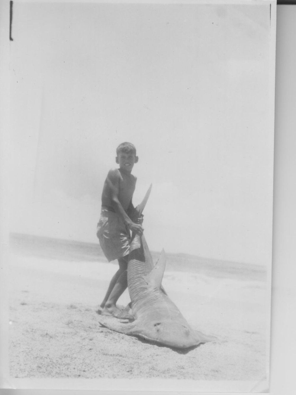 Ron Hills with shark Red Rock