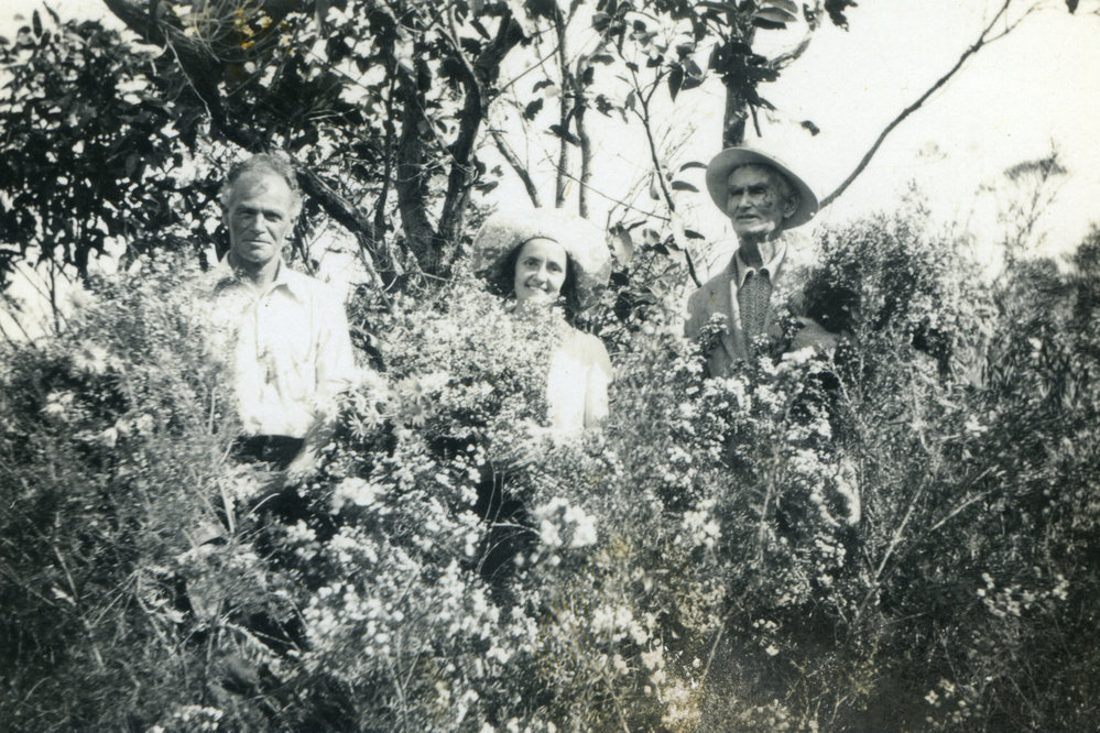 Wildflowers with people, Red Rock, 1940