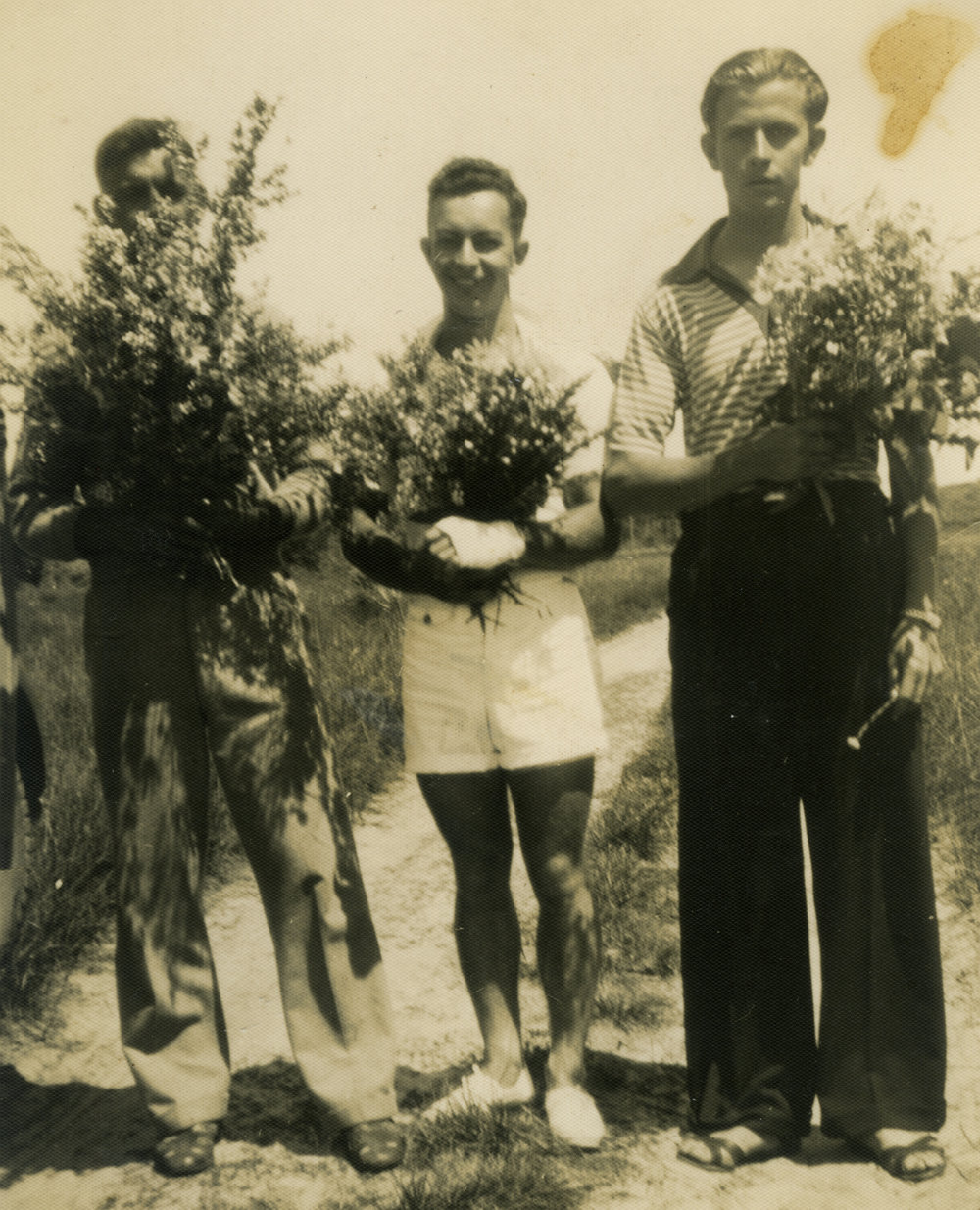 Presentation of Wildflowers Red Rock 1940