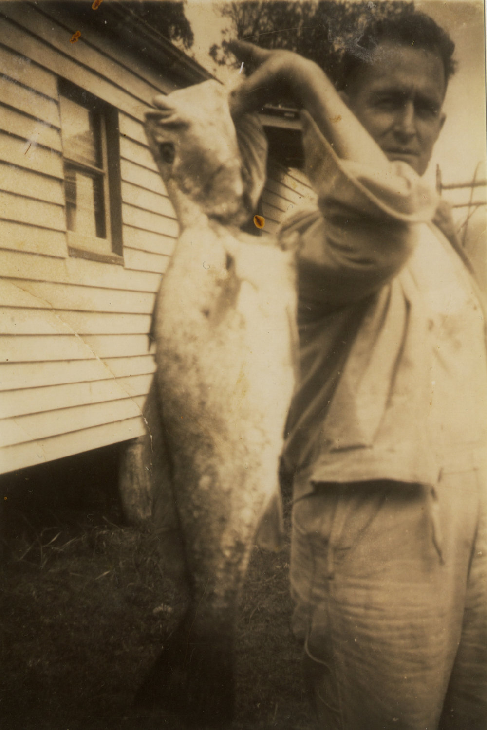 Fisherman with jewfish Red Rock 1940