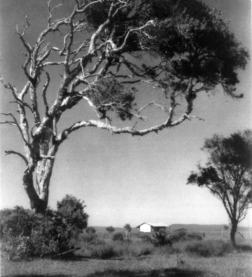 First House on the Plain, Red Rock