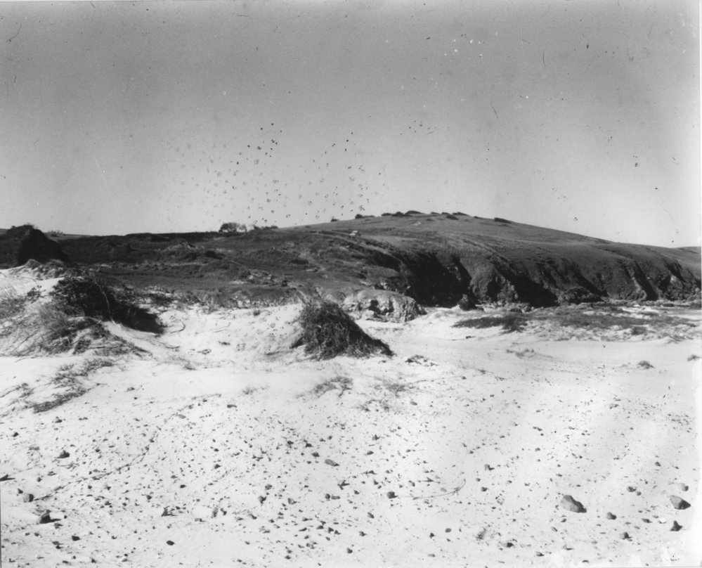 Shell deposits and implements exposed in a midden on Moonee Beach, June 1967