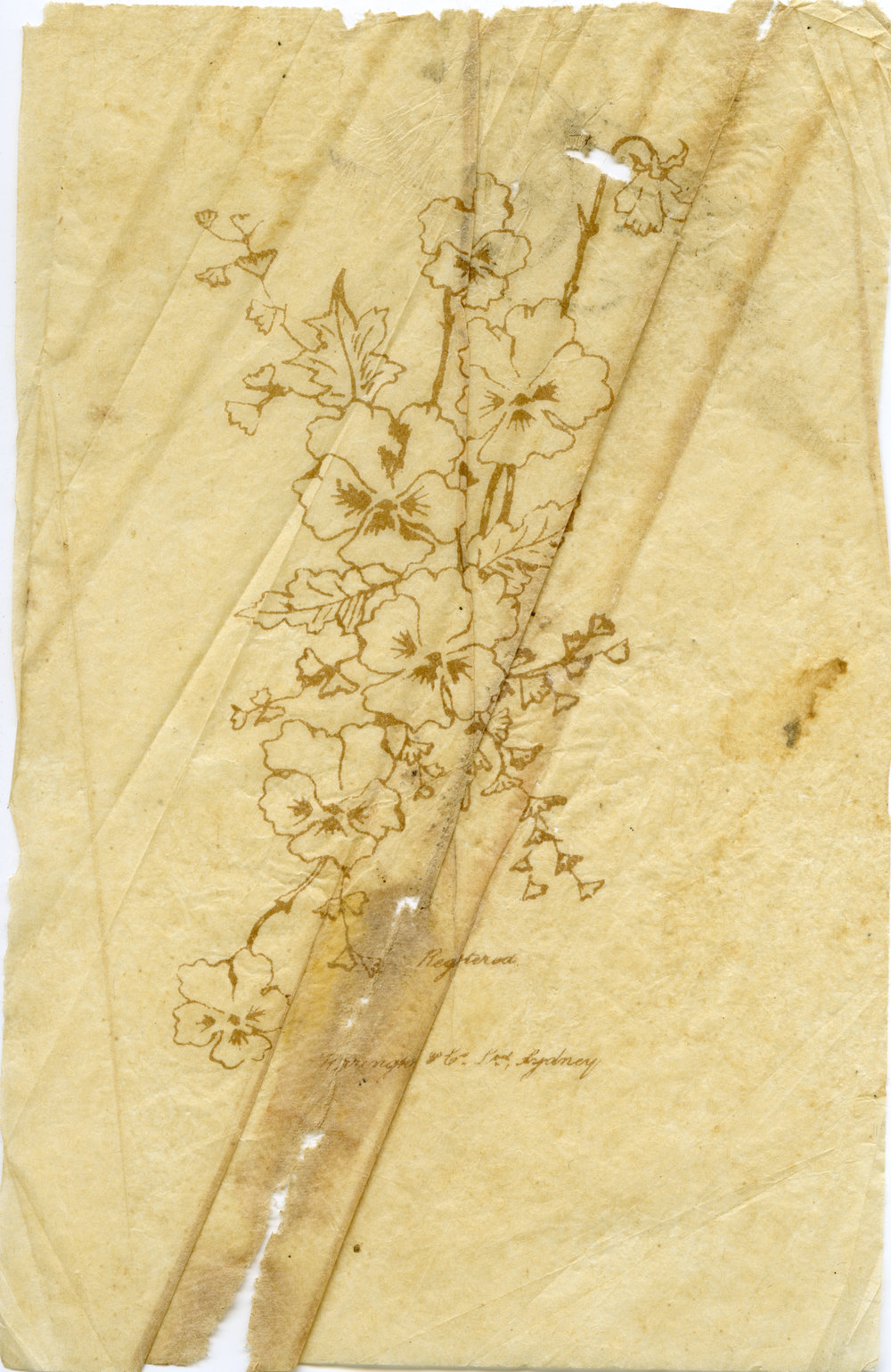 Grease proof illustrated photograph protector, c. 1880