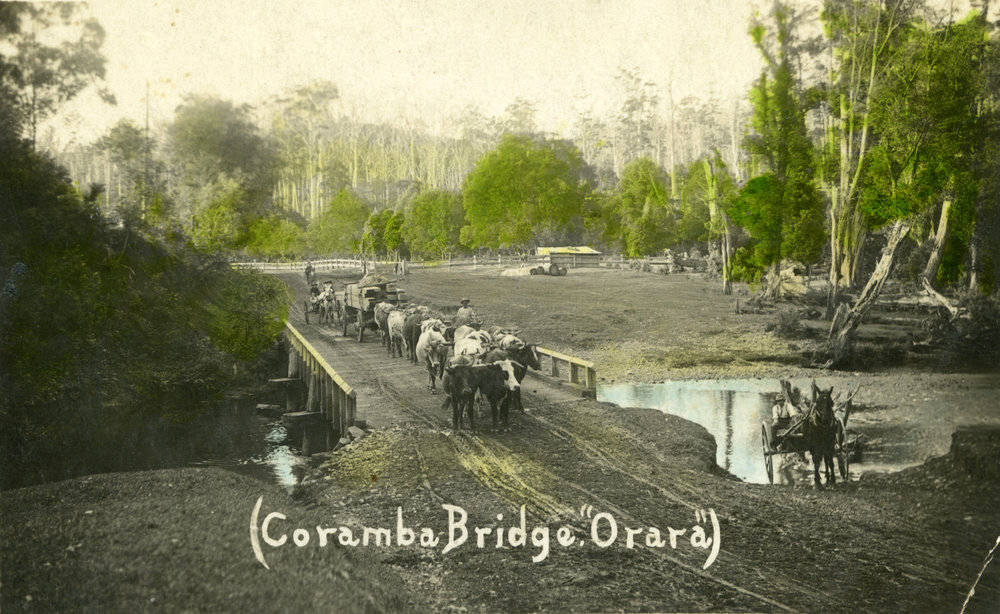 A bullock team on Duncan's Crossing Bridge over the Orara River at Coramba, 1915 