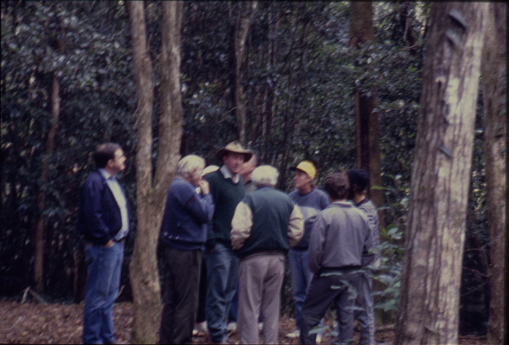 Group in forest
