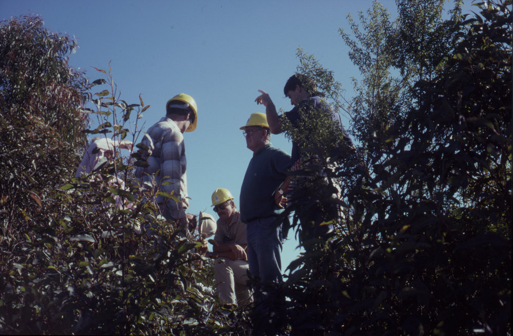 Group in bushland, April 1995