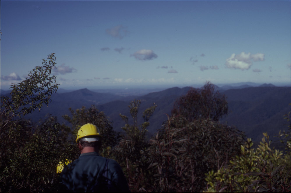 Forested hills, April 1995