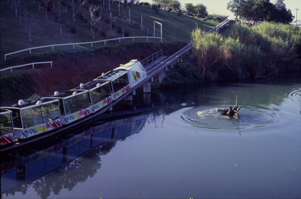 Bunyip and monorail, The Big Banana