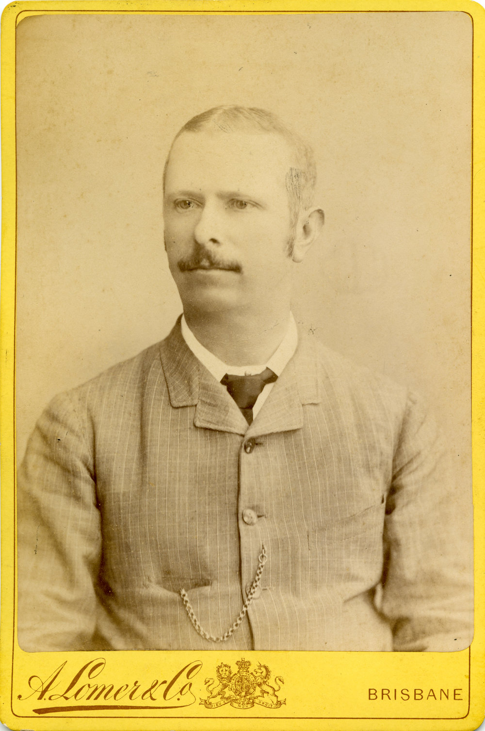 Portrait of a man, c. 1874