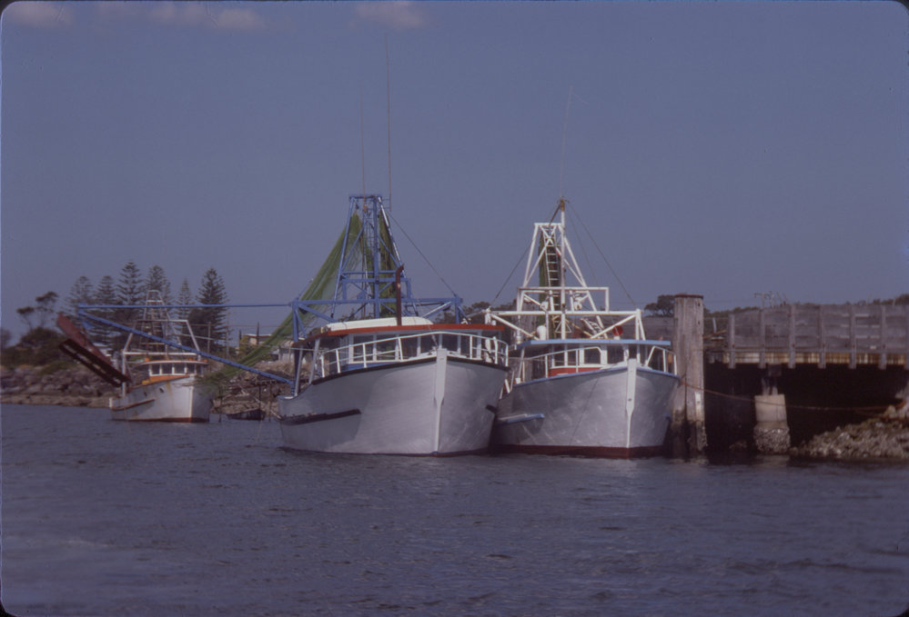 Fishing boats in harbour