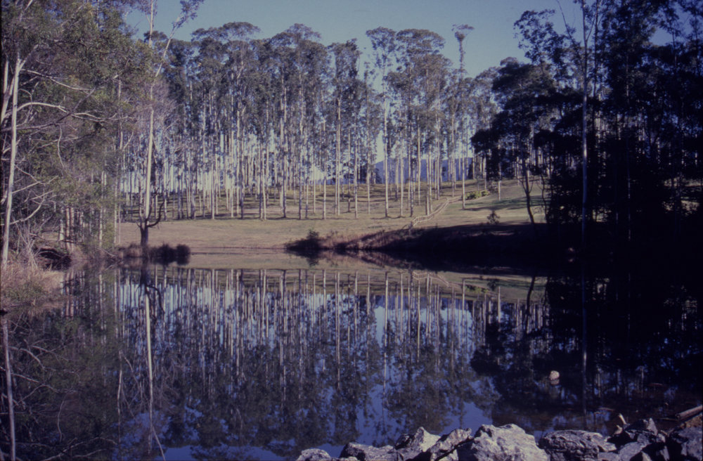 Lake at Bonville International Golf Course