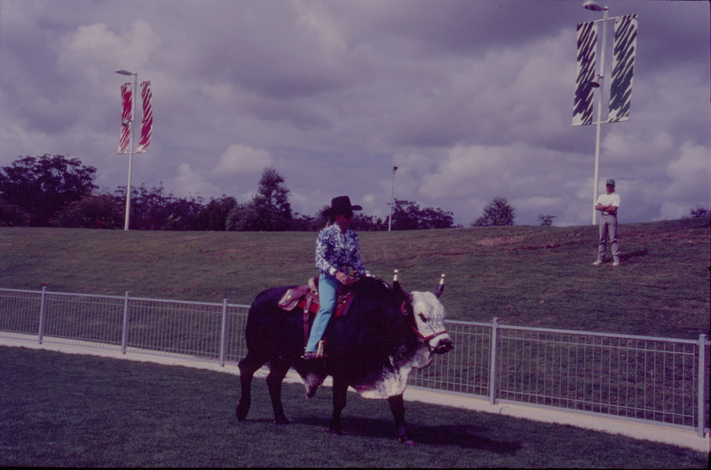 Rodeo rider on field, Coffs Harbour International Stadium