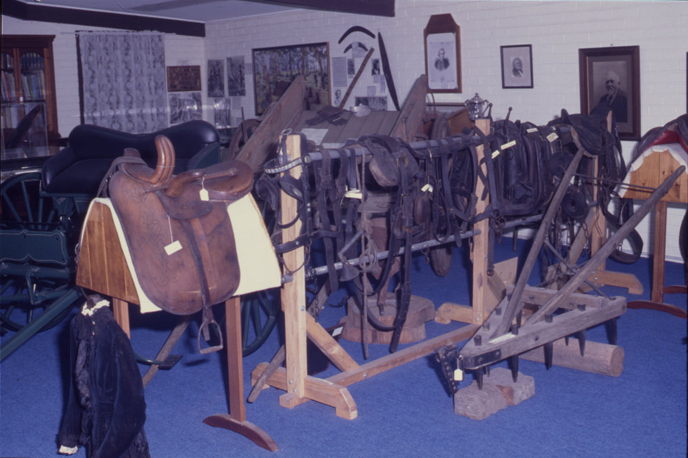 Saddle and bridle display, Coffs Harbour Regional Museum