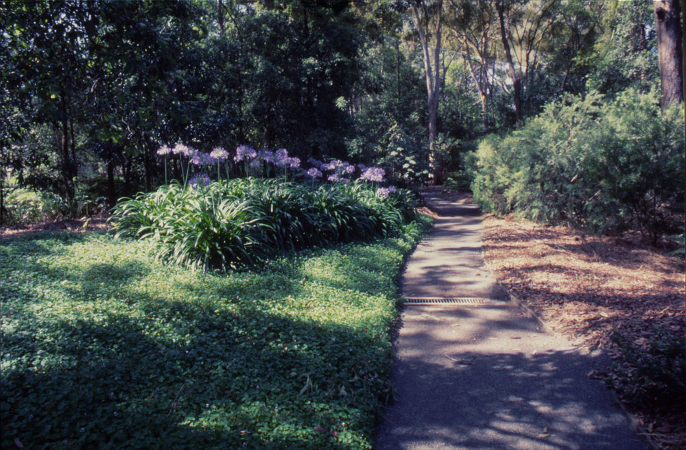 Walkway, North Coast Regional Botanic Garden