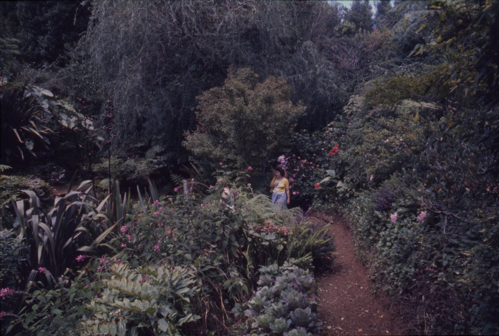 Visitors walk through garden beds, North Coast Regional Botanic Garden