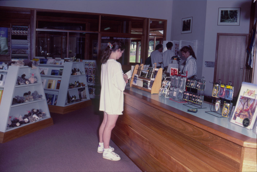 Dorrigo Rainforest Centre interior