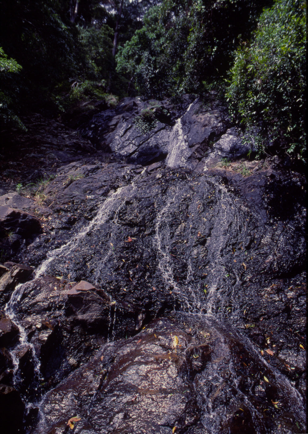 Waterfall, Dorrigo National Park