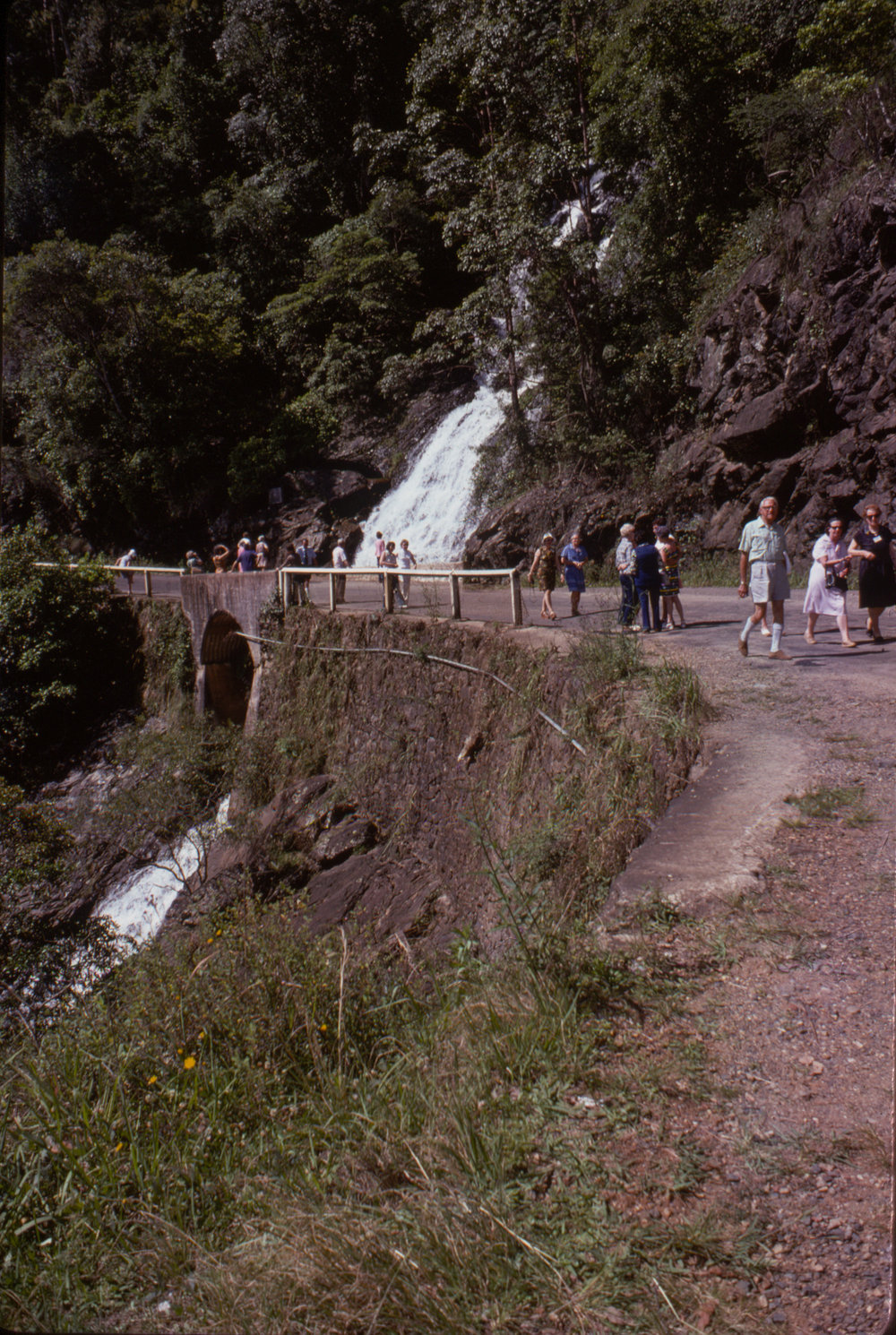 Newell Falls, Dorrigo National Park, c. 1975