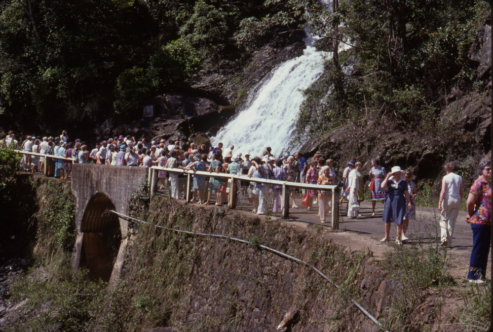 Newell Falls, Dorrigo National Park