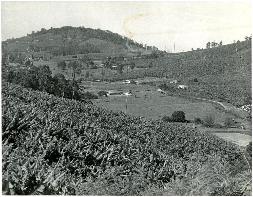 Roberts Hill from Red Hill
