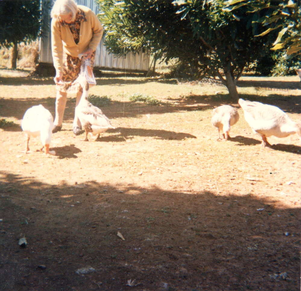 Marie Hunt feeds her geese, c. 1970s